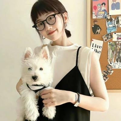 两妻时代粤语封面